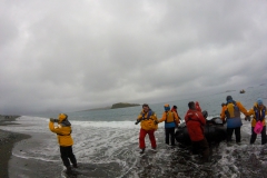 Salisbury Plain: erste Anlandung auf Südgeorgien