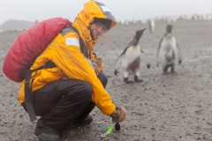 Salisbury Plain: wie nah man wirklich kam :-)