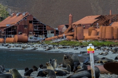 Stromness Harbour: alte Walfängerstation
