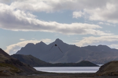Stromness Harbour: Blick zurück Richtung Bucht