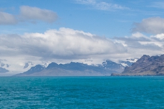 Aussichten auf Süd-Georgien