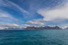 Aussichten auf Süd-Georgien