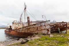 Grytviken - noch eine alte Walfang-Station