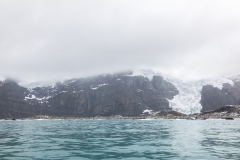 Gold Harbour - Gletscher bis zum Meer