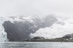 Gold Harbour
