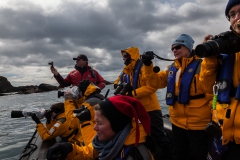 Cooper Bay - Foto von Menschen die Fotos von Pinguinen machen :-)