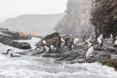 20161229-09-19-_MG_7293