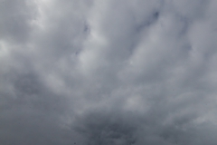 Entlang der Elefanteninsel