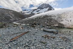 Chinstrap Camp, Elephant Island
