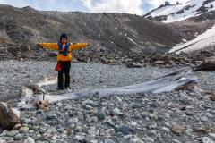 Chinstrap Camp, Elephant Island: Überreste eines Wals