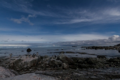 Chinstrap Camp, Elephant Island