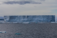 Eisberge umgeben das Schiff