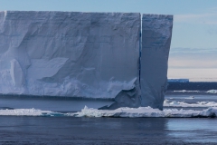 Eisberge umgeben das Schiff