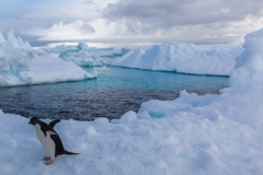 Kinnes Cove: der war einfach ein dankbares Motiv :-)