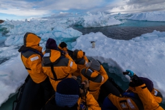 Kinnes Cove: der Pinguin kam immer näher