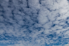 Zwischen Kinnes Cove und Brown Bluff