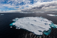 Zwischen Kinnes Cove und Brown Bluff