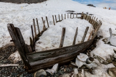D’Hainaut Island: Überreste der Walfänger