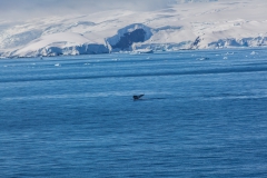 zwischen D’Hainaut Island und Cierva Cove