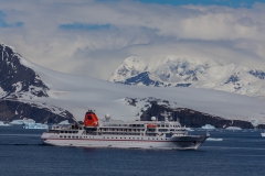 zwischen D’Hainaut Island und Cierva Cove: die MS Bremen kommt uns entgegen