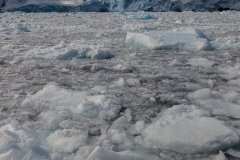 Cierva Cove: Fahrt durch das Eis