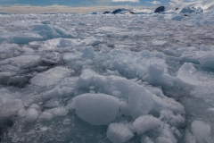 Cierva Cove: Fahrt durch das Eis
