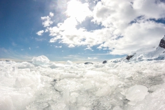 Cierva Cove: das Eis hat gut genirscht