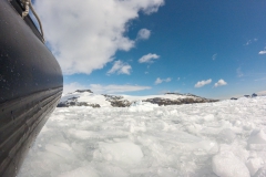 Cierva Cove: das Eis hat gut genirscht