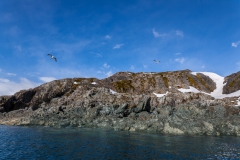 Cierva Cove