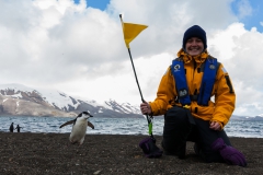 Deception Island: und werden dabei komisch angeschaut