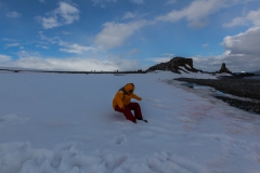 Half Moon Island: Sitzen im Schnee ;-)