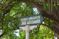 Erstmal auf einen Aussichtspunkt