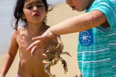 ... haben den dann ..