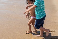 ... wieder ins Wasser gebracht.