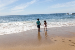 Glücklich dem Krebs hinterher guggen!