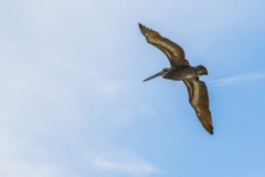 ... wir wissen nur noch nicht, ...