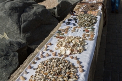 Für die Faulen: Muscheln vom Strand zum Kaufen.
