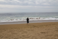 Fotos machen von den Wellen.