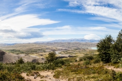 Torres del Paine: die Aussicht war schon ok :-)