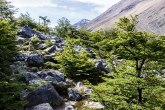 Torres del Paine: die letzten Meter nach oben