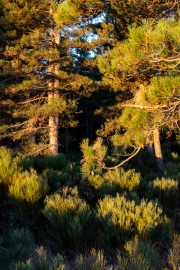 Frankreich - Saint-Cirgues-de-Prades