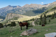Spain - smuggler's trail to Andorra