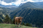 Spain - smuggler's trail to Andorra