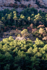 Spain - Pyrenees - Fet