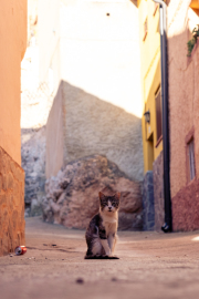 Spain - Ariza