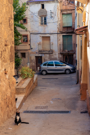 Spain - Ariza