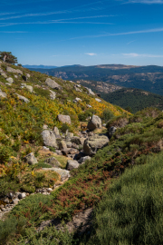 Spain -  Peñalara Natural Park
