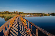 Spain - Tablas Daimiel