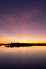 Spain - Tablas Daimiel