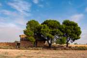 Spain - Candasnos
